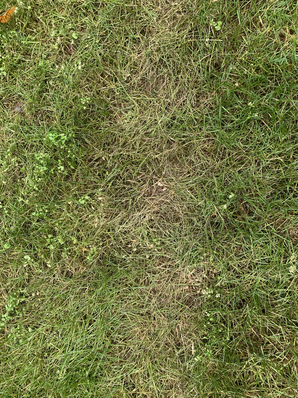 19B5CC75-164F-4CF3-8D49-EE73C2E3A225