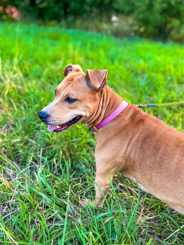 E0FD23C1-4B06-46A0-A886-6D56C75EBF44