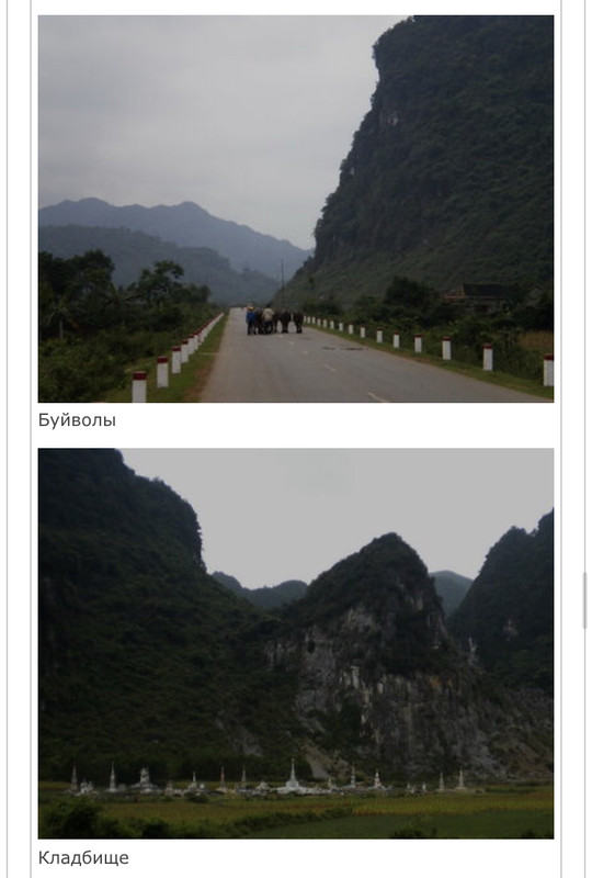 BCDD8E45-7CCF-4324-9A5F-9DDE310B7A13