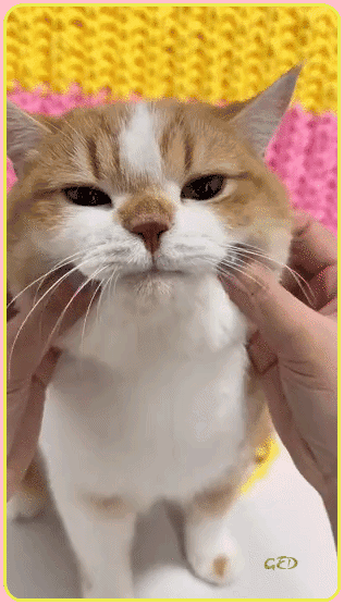 110826-chat-massages