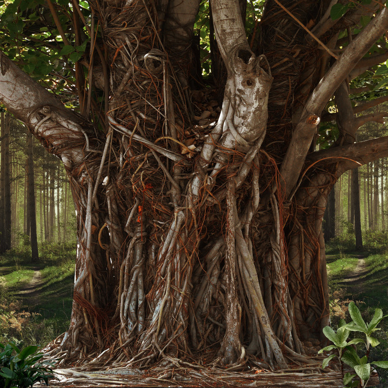 Autumn Witchery Papers (30)