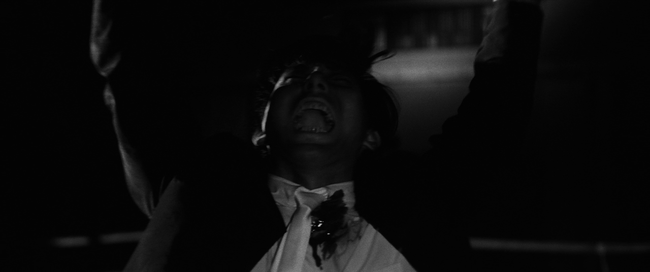 vlcsnap-2025-01-21-03h22m31s424