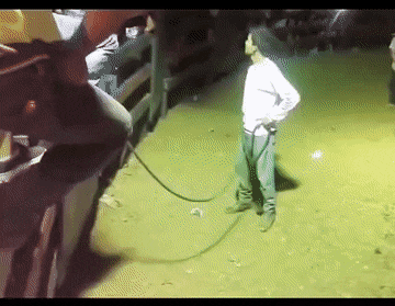https://i.postimg.cc/RV3ZKYp6/1.gif