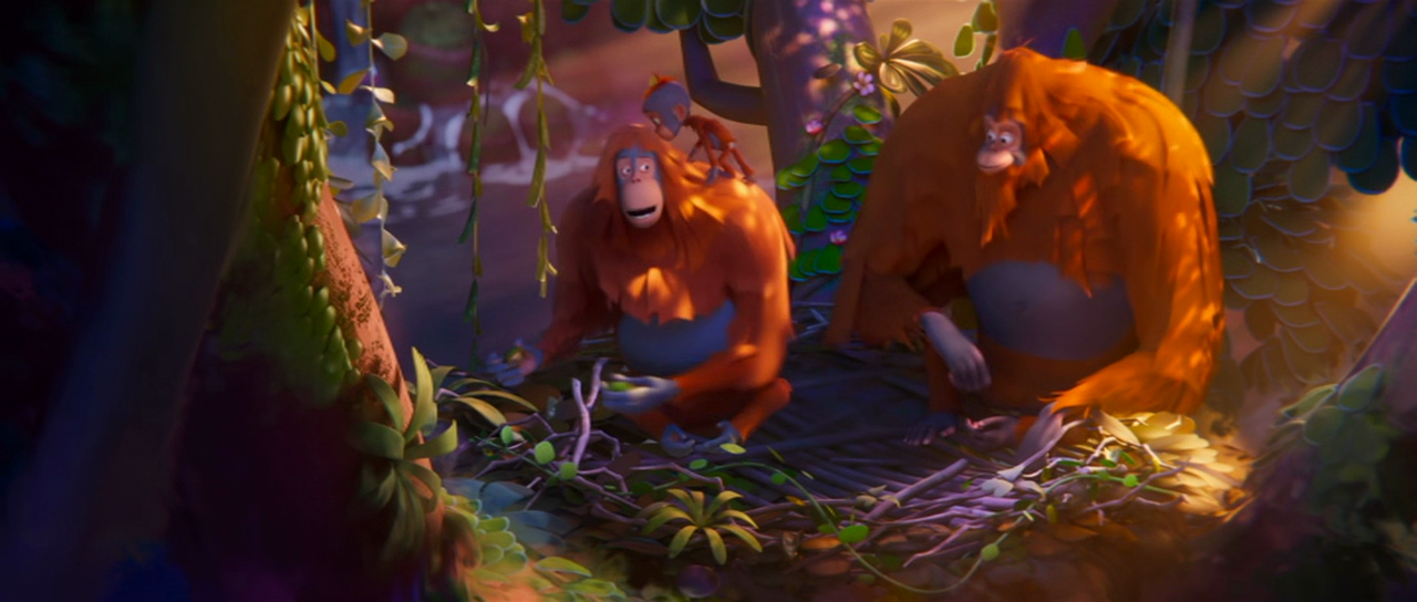 vlcsnap-2025-01-14-18h14m08s412