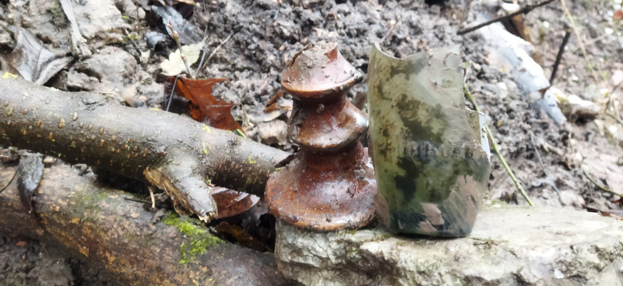 Whats App Image 2025 11 19 at 13 56 37