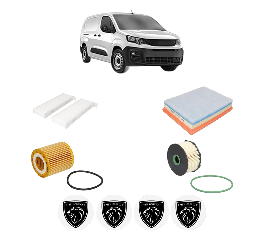 pachetreviziebosch8160