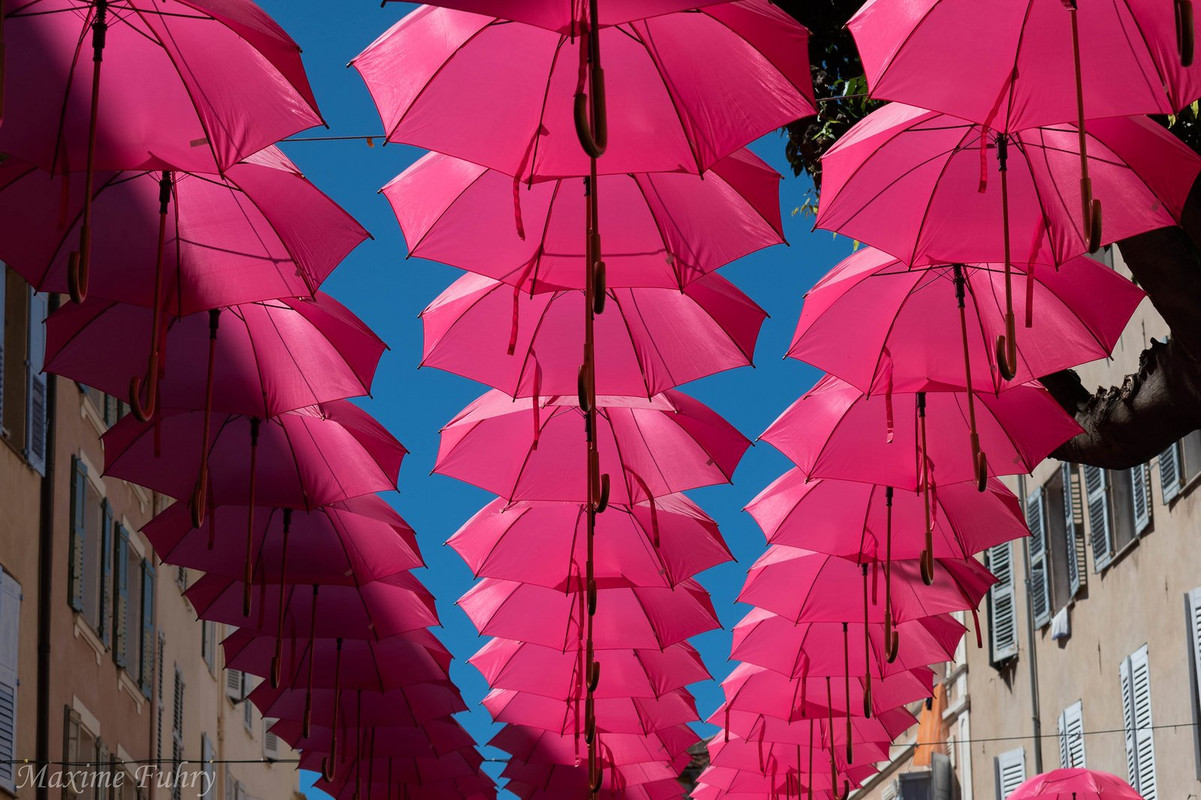 pink-umbrellas.jpg