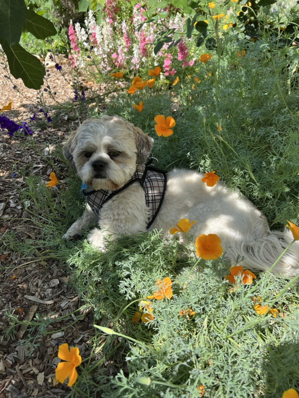 3364886E-50E5-40BA-A55A-521949D93BDD_1_105_c