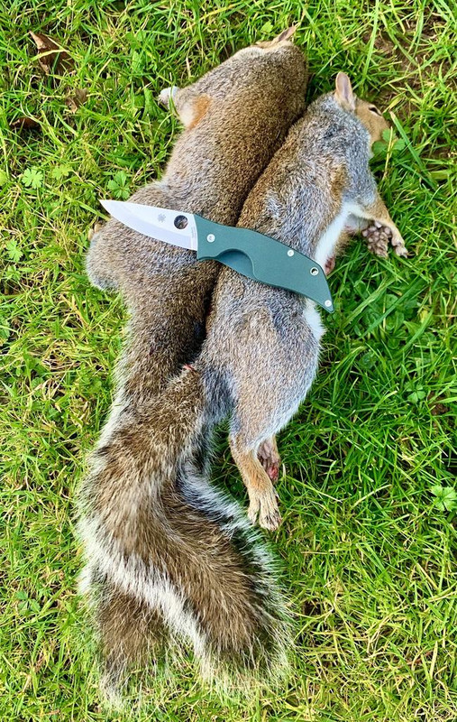 D76C2301-DC88-4B55-A173-C9C603E7E645