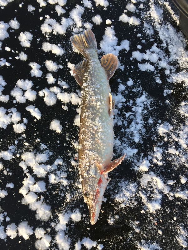 EF27379A-6C38-4A60-827C-899976831495