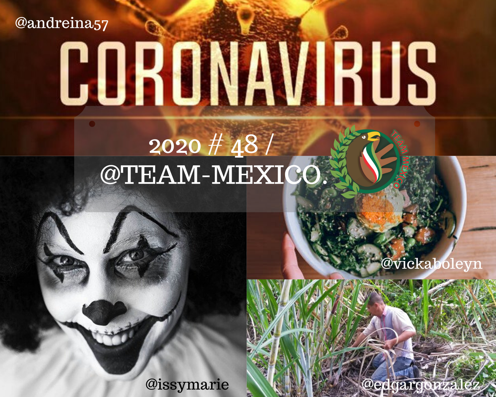 2020 # 48 / @team-mexico.