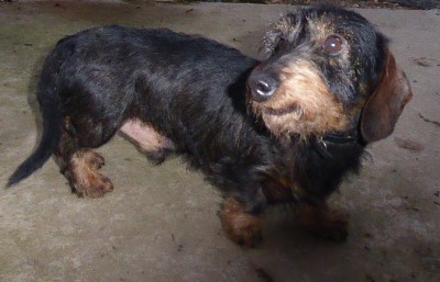 [Image: P1050809.jpg]