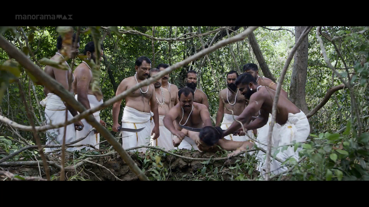 vlcsnap 2026 02 06 17h23m25s244