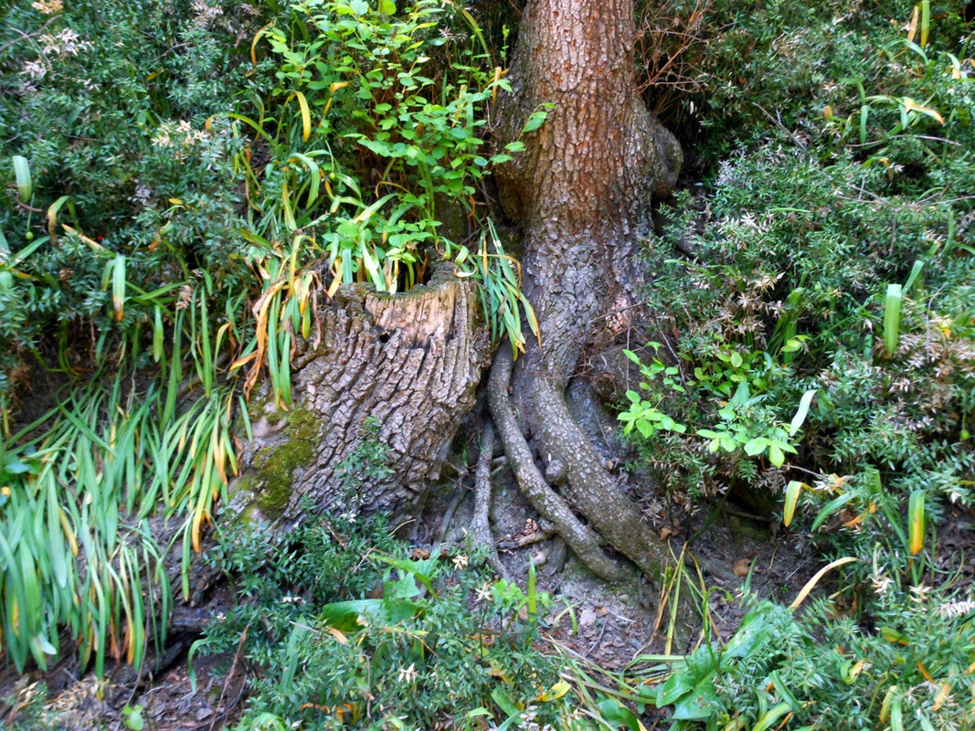 xx8YVNgiHjsSfbYME8QvLOpH80t-Y9loiFqfGDdL9eTmj4zKEZEdOYfcpUhvV_tKmxc0yj8DrSgAB7TWzs_Q92ry