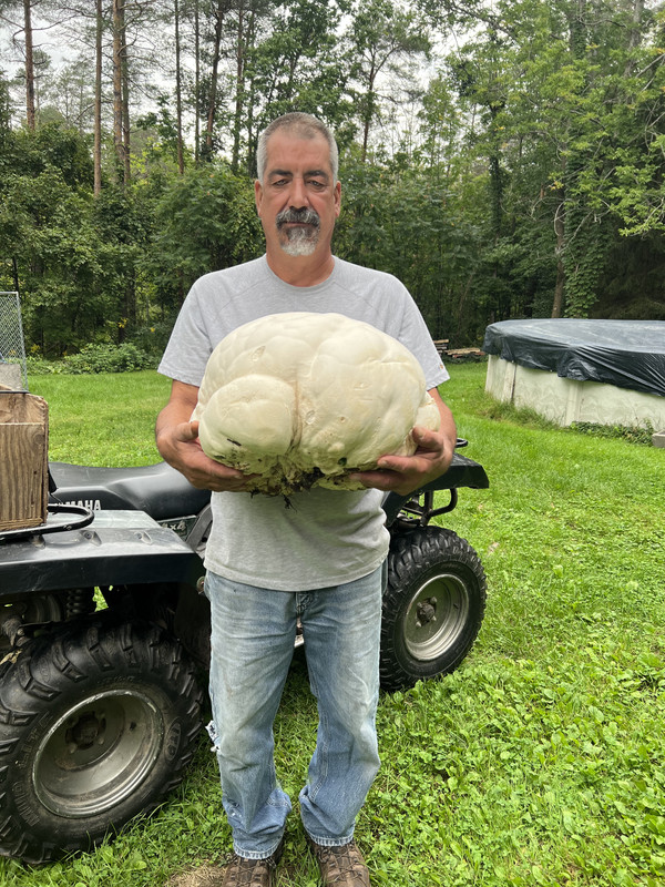 55937E29-8D42-4860-9E15-23DB7387A1D3