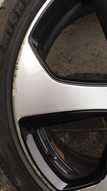 137271658_360408702056461_6703826836165187572_n