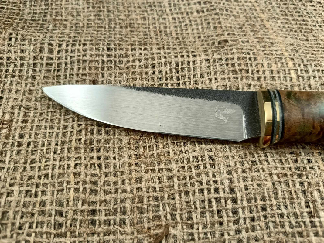 353644787_286214557234206_786472053863297996_n