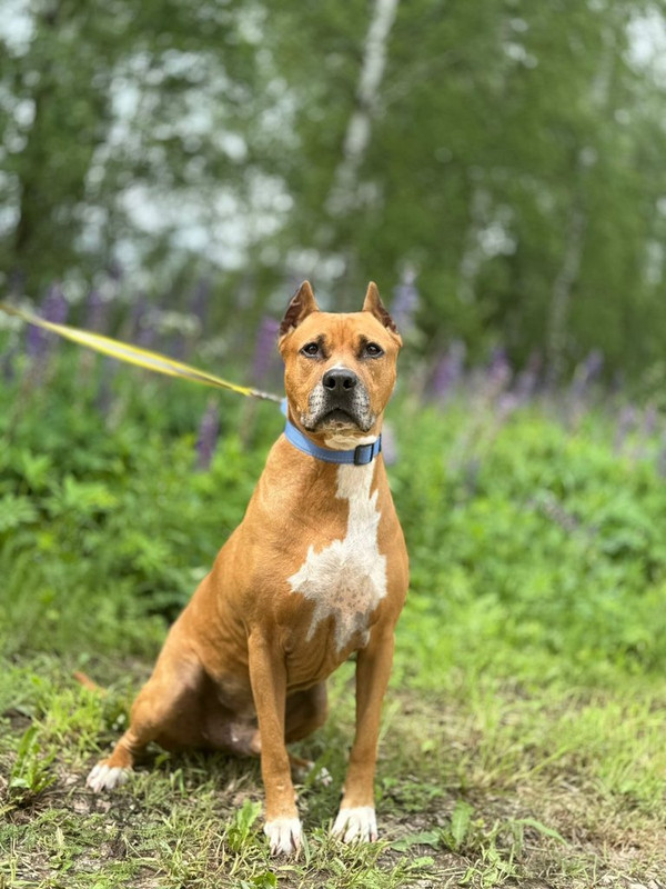 WhatsApp Image 2025-06-20 at 00.21.25 (1)