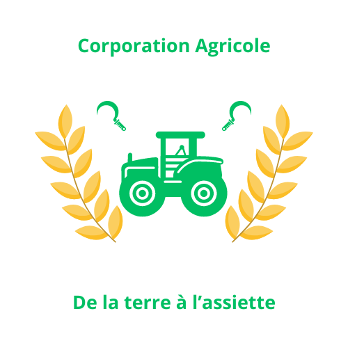 Logo Logo