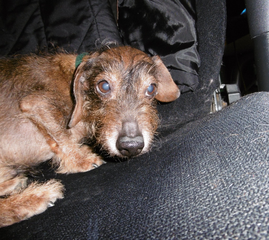 [Image: 180301035902188035.jpg]