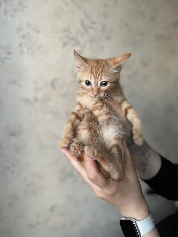 C50235F8-E273-4C5E-A2D7-7C13E4363FDD