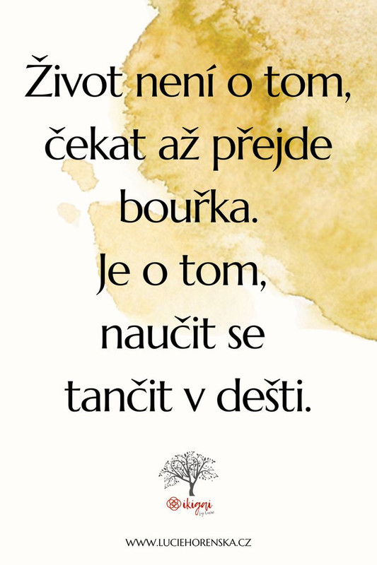 8e4001320d9e46910b93bb2e212c79d9