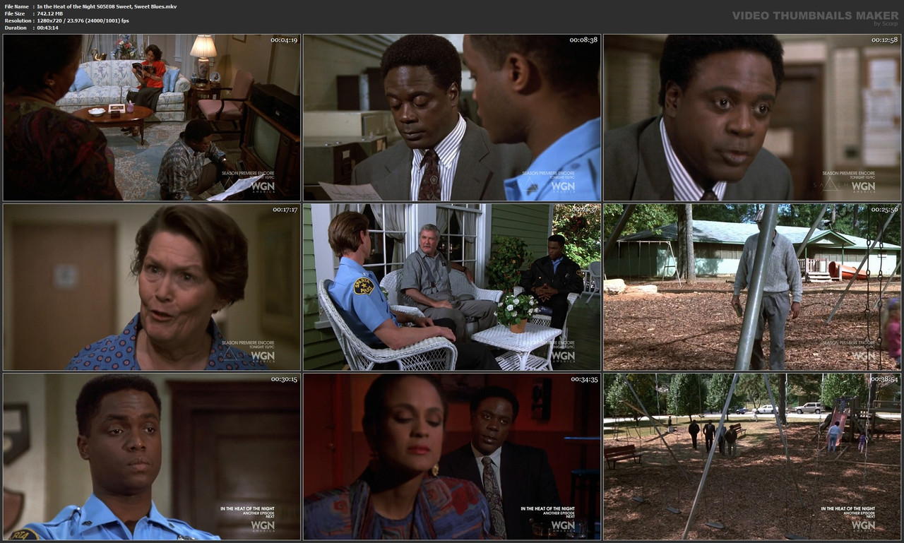 In the Heat of the Night S05E08 Sweet, Sweet Blues.mkv