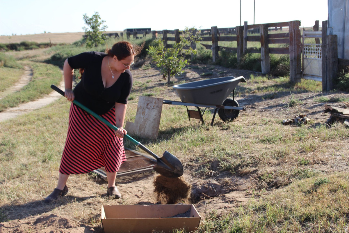 43281631_1154647198009711_7674535486215421952_n