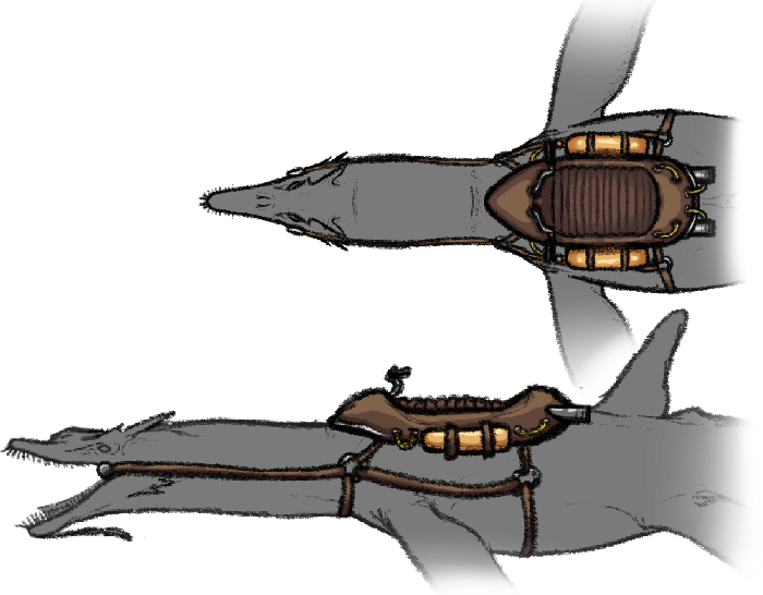 tiderider-saddle.png