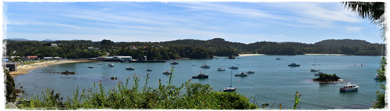 Stewart Island:  kiwis, Coast to Coast y unos días en Oban (febrero 2021) - Escapadas y rutas por la Nueva Zelanda menos conocida (27)