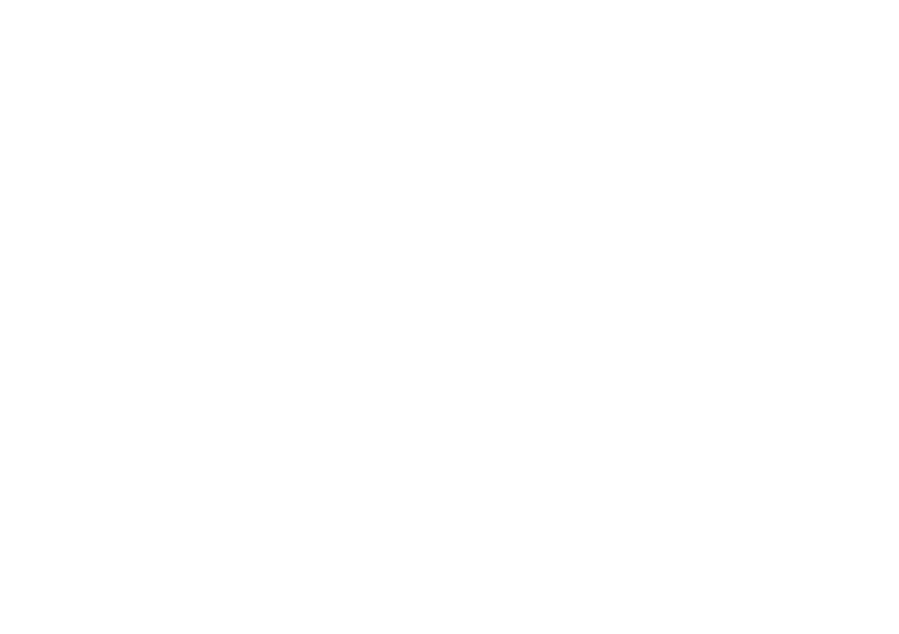 OPASAV logo (white)