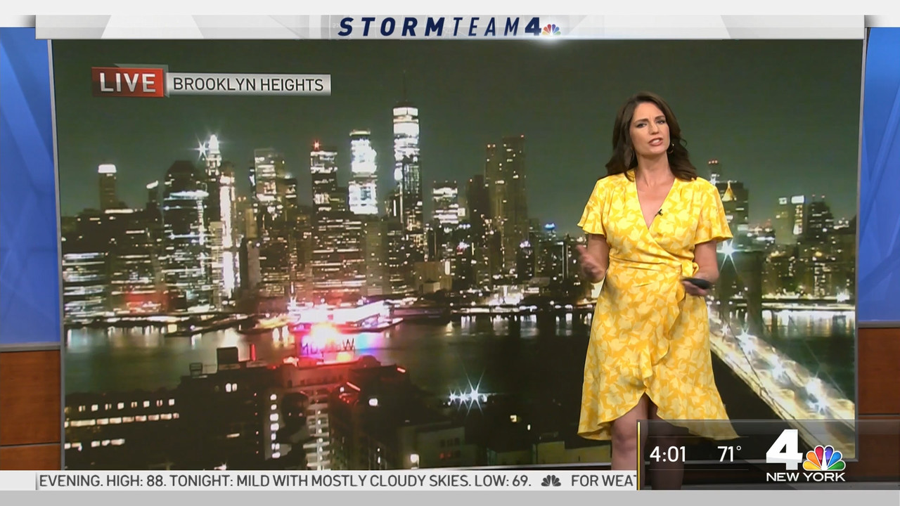 29 June - 09.00.00 - Today in New York..ts_snapshot_03.22.737