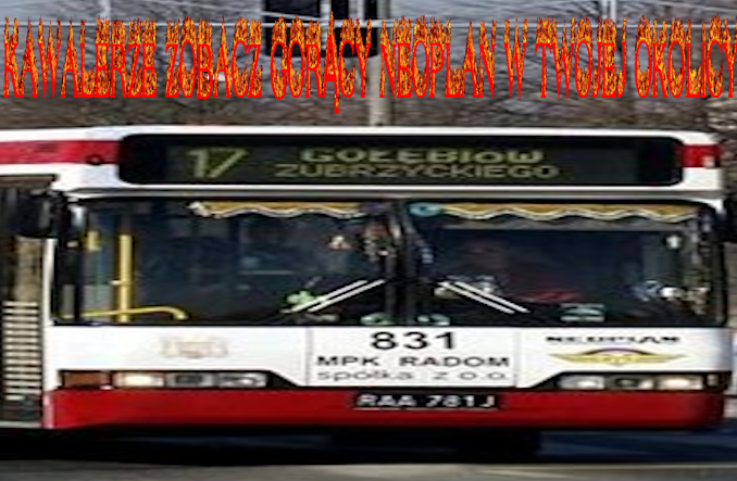 [Obrazek: KAWALERZE-ZOBA-WERSJA-LEPSZA.png]