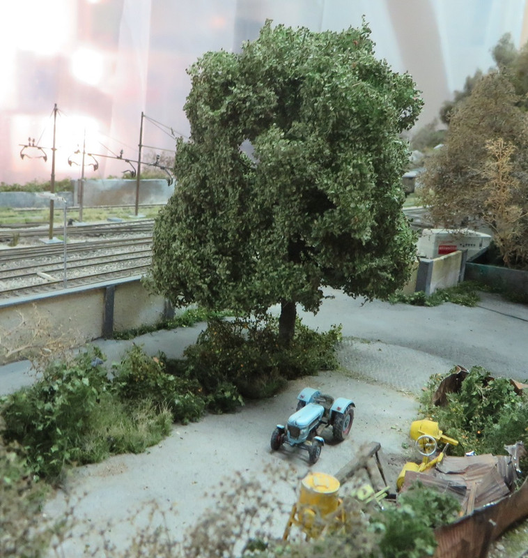 Alberi Boscoscuro giugno 2023 (17)