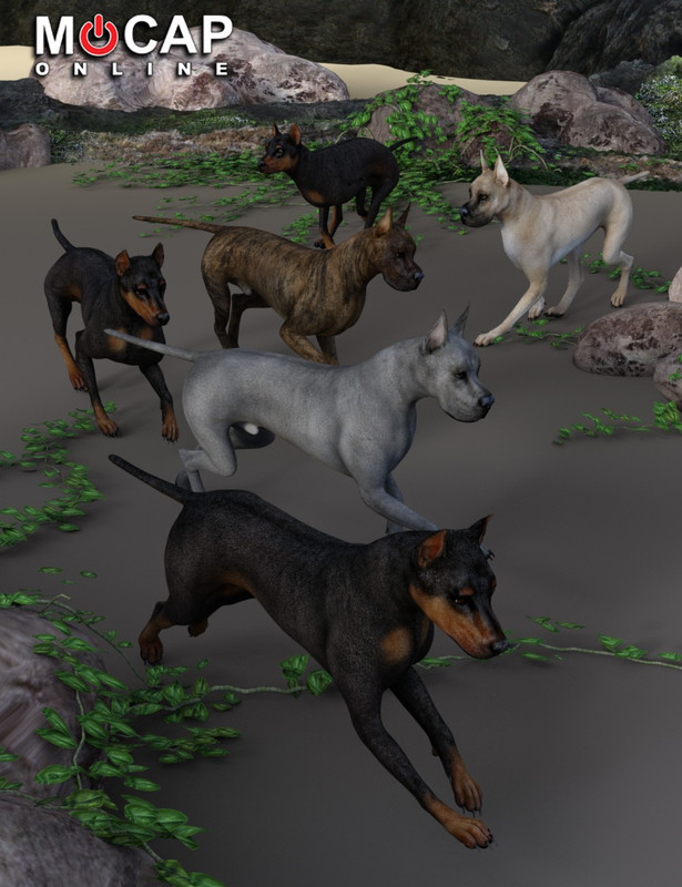 Dog 8 Animation Cycles Base and Great Dane