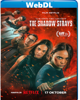 The Shadow Strays (2024) WEB-DL 720p H264 E-AC3+AC3 ITA ENG