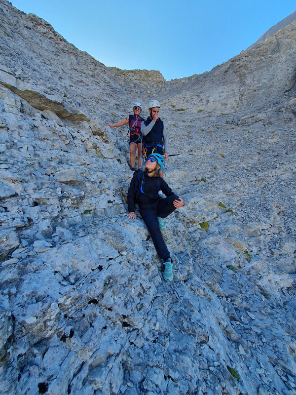 Alpi Samedi 45