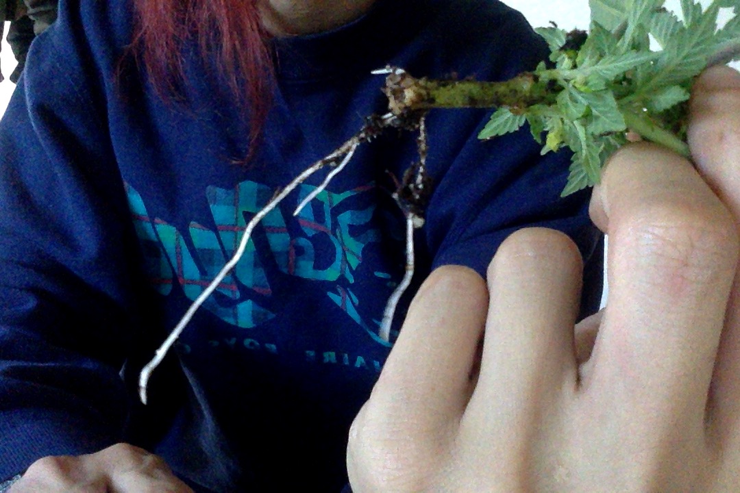 Photo on 6-21-18 at 7.05 PM