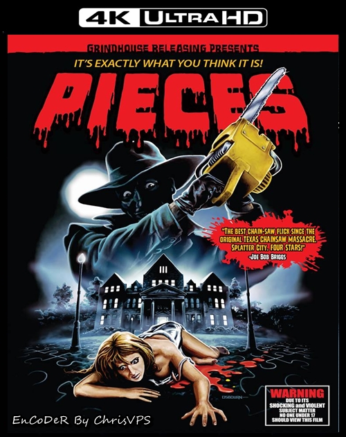 Szczątki / Pieces (1982) MULTI.Uncut.HDR.2160p.BluRay.DTS.HD.MA.AC3-ChrisVPS / LEKTOR AI i NAPISY
