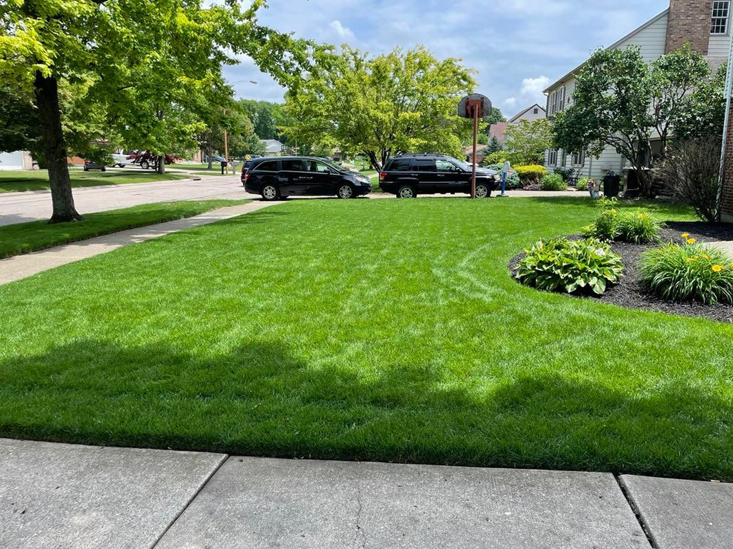 276298267_533649244995686_3367790879002023564_n