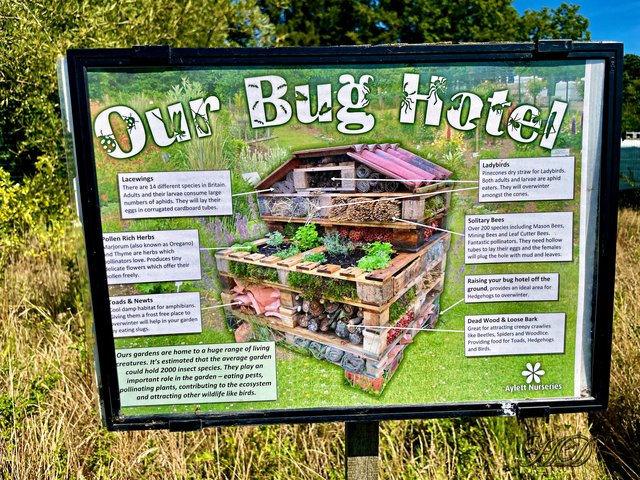 Bug-hotel-sign-HD.jpg