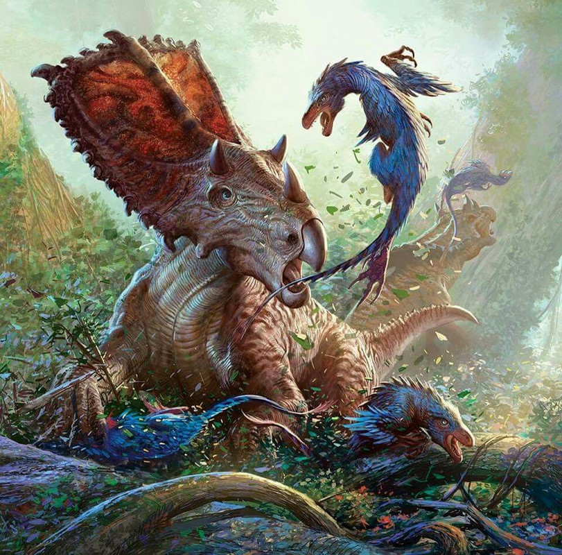 d51fd41ff539163ae06318c03a5f414f