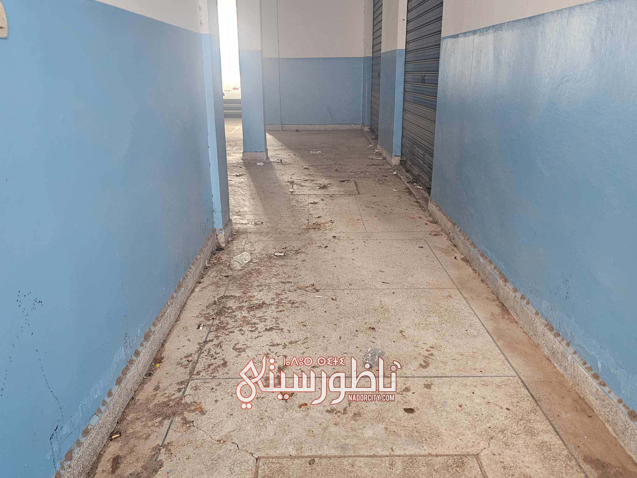 575509731-1199829718627802-7750919526042339456-n