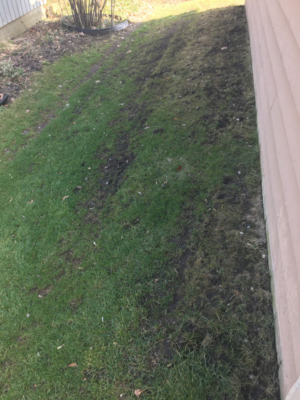 8EF1E475-FFD8-4824-BF08-B684A33A87A5