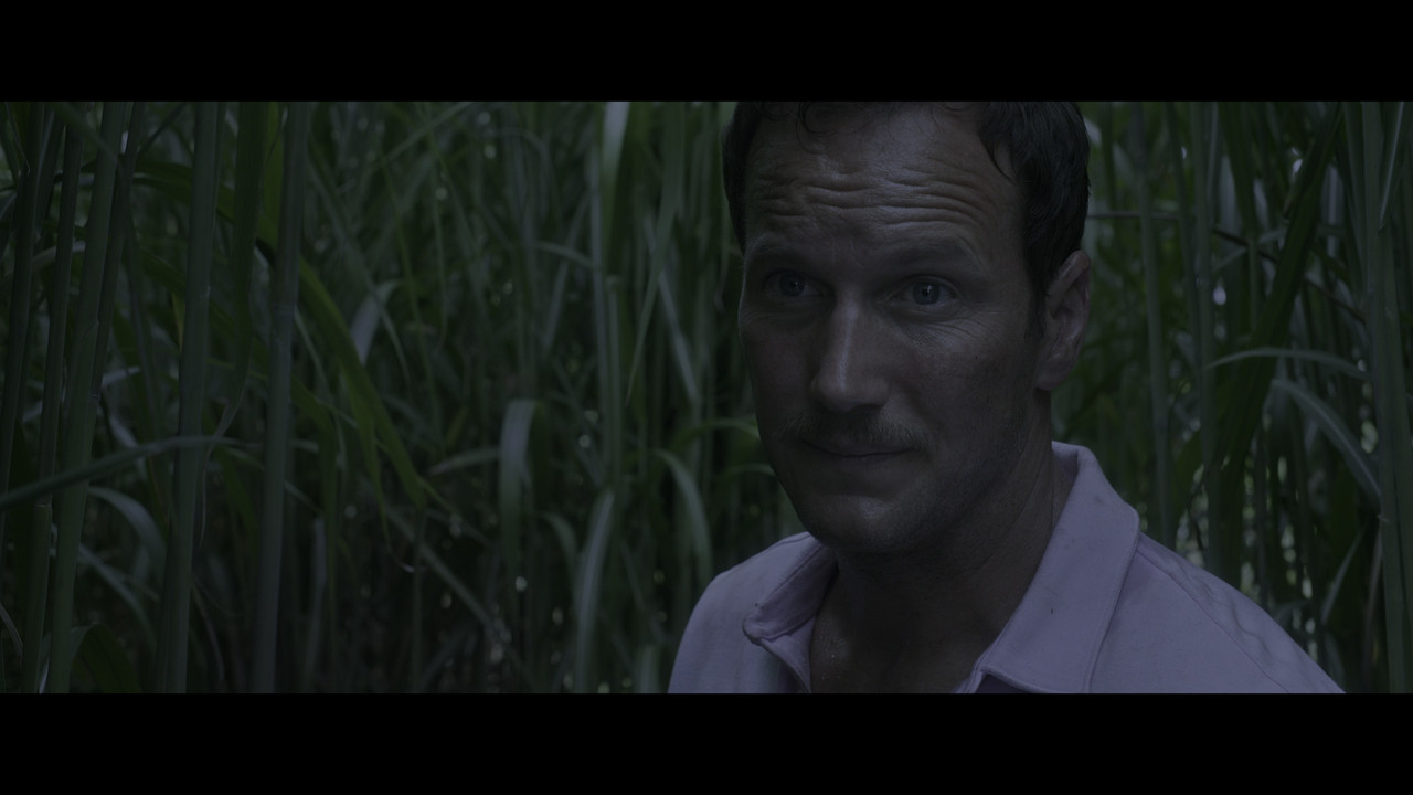 vlcsnap-2024-06-20-13h02m31s456