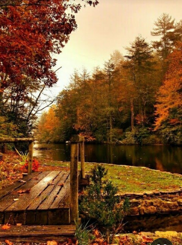 Screenshot_20231127_214943_Pinterest