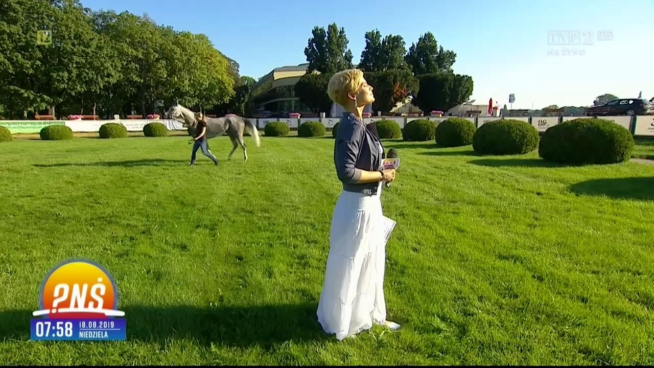 V0323_20190824_125257.mp4_snapshot_00.12_[2019.08.25_00.46.50]