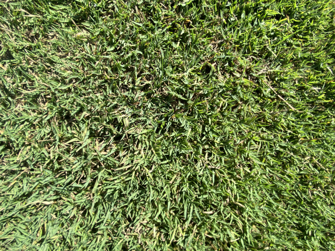 9B96F8E5-0833-490E-95F2-E87AC5D9B155