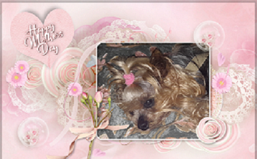 ZZZZZZ Cathy 17