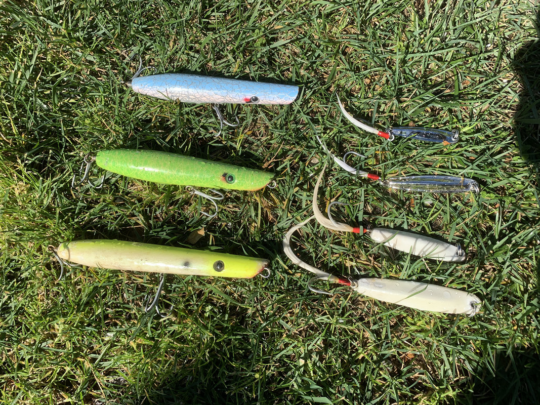 Rod for chucking bigger lures?, Page 4